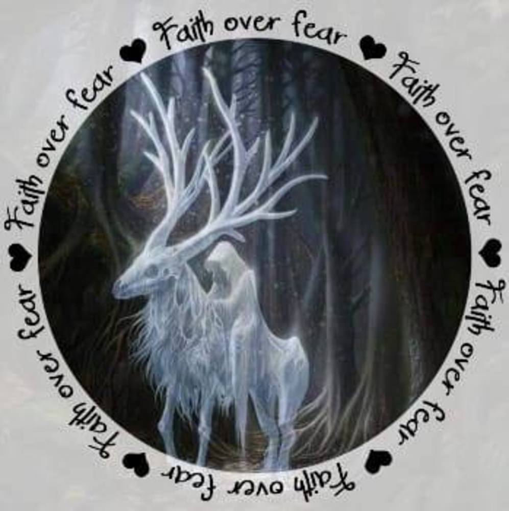 Meet your Posher, Fran